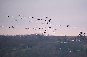 Peter Blei am Stausee Kelbra