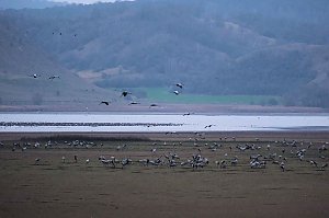 Peter Blei am Stausee Kelbra