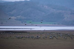 Peter Blei am Stausee Kelbra