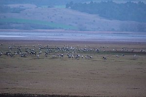 Peter Blei am Stausee Kelbra