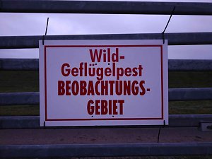 Peter Blei am Stausee Kelbra