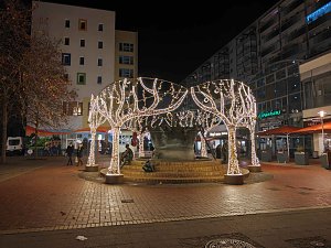 Peter Blei unterwegs in Magdeburg