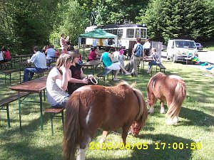 Kinderfest 