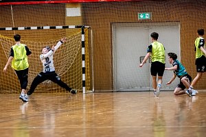 Handball am Wochenende