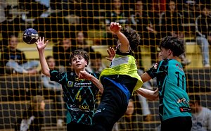 Handball am Wochenende