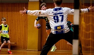 Handball am Wochenende