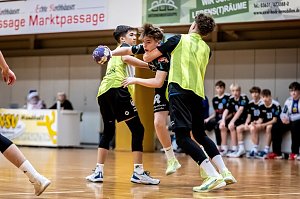 Handball am Wochenende