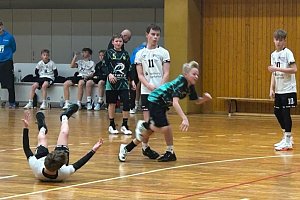 Handball am Wochenende
