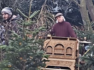 Der zweite Weihnachtsmarkt am Schlosspark in Kleinwerther