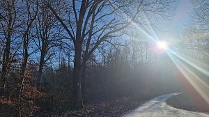 Winterwanderung am Kyffhäuser