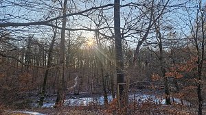 Winterwanderung am Kyffhäuser