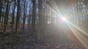 Winterwanderung am Kyffhäuser