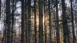Winterwanderung am Kyffhäuser