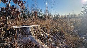 Winterwanderung am Kyffhäuser