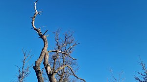 Winterwanderung am Kyffhäuser