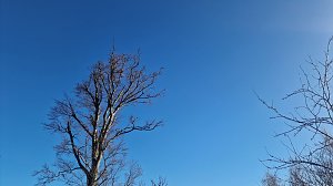 Winterwanderung am Kyffhäuser