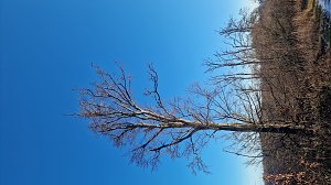 Winterwanderung am Kyffhäuser