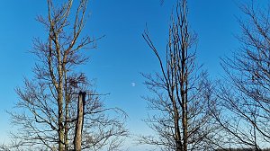Winterwanderung am Kyffhäuser