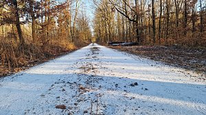 Winterwanderung am Kyffhäuser