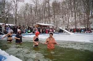 Eisbader in Neustadt