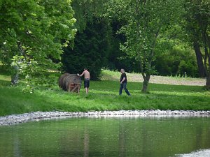 Bel&uuml;ftung Parksee