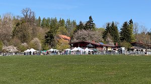 Almauftrieb mit Handwerkermarkt und kulinarischen Angeboten
