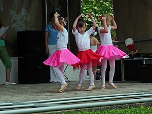 Fest der Vereine