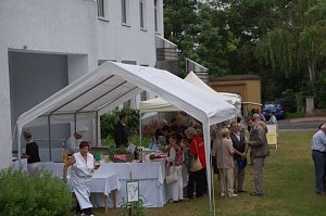 Gesunde Knochen