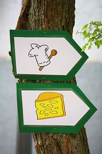 Gesunde Knochen