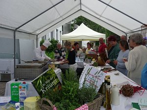 Gesunde Knochen