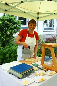 Gesunde Knochen