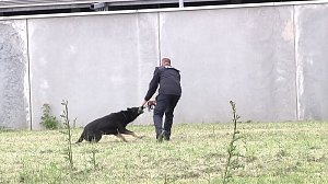 Offene T&uuml;ren bei der Polizei