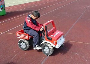 Mini-WM-2010
