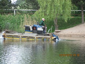 Arbeitseinsatz im Schwimmbad