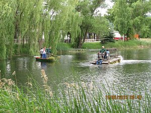 Arbeitseinsatz im Schwimmbad