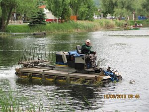 Arbeitseinsatz im Schwimmbad