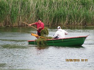 Arbeitseinsatz im Schwimmbad