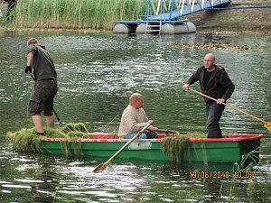Arbeitseinsatz im Schwimmbad