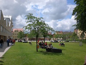 Zu Besuch im Nordharz