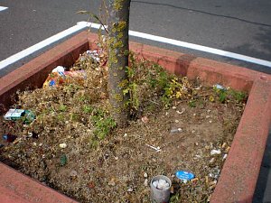 B&auml;ume mit Parkplatz?