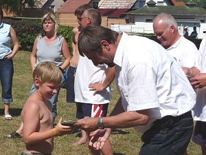 Seepferdchen erhalten