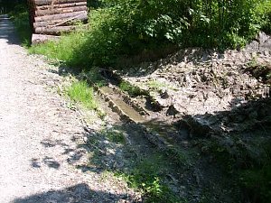 Wasser im Walde