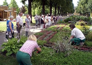 Landesgartenschau