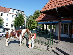 Pferd in der Stadt