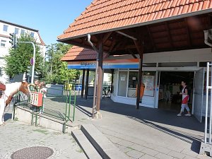 Pferd in der Stadt