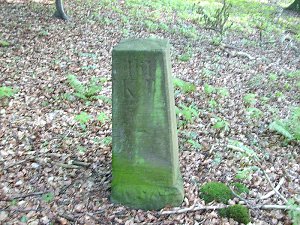 Vergessene Grenzsteine