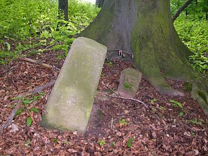 Vergessene Grenzsteine