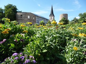 Unterwegs auf dem Berg