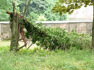 Park-Momente