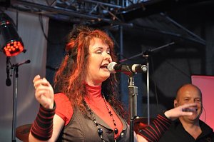 Altstadtfest 2010